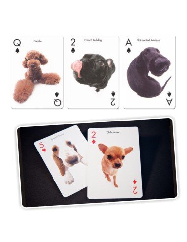 Juego de Cartas Bicycle The Dog Artlist Collection Playing Cards Original importadas
