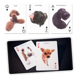 Juego de Cartas Bicycle The Dog Artlist Collection Playing Cards Original importadas