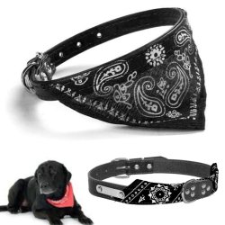 Collar con Pañoleta para Mascotas Grandes correa bandana perro