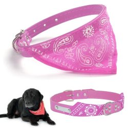 Collar con Pañoleta para Mascotas Grandes correa bandana perro