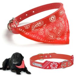 Collar con Pañoleta para Mascotas Grandes correa bandana perro