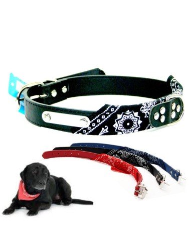 Collar con Pañoleta para Mascotas Grandes correa bandana perro