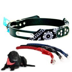 Collar con Pañoleta para Mascotas Grandes correa bandana perro