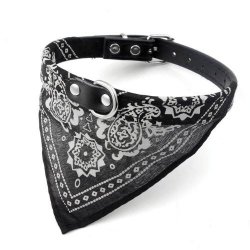 Collar con Pañoleta para Mascotas Grandes correa bandana perro
