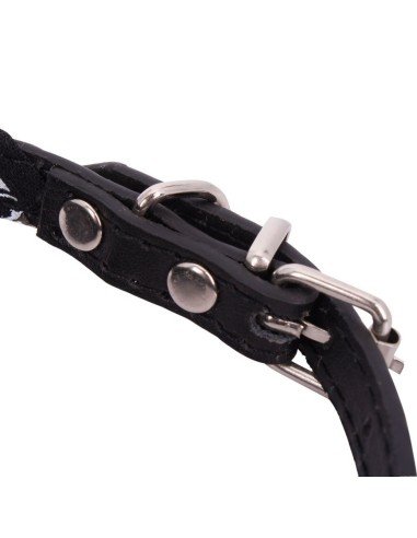 Collar con Pañoleta para Mascotas Grandes correa bandana perro