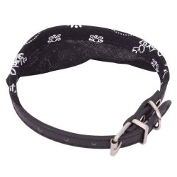 Collar con Pañoleta para Mascotas Grandes correa bandana perro