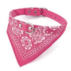 Collar con Pañoleta para Mascotas Grandes correa bandana perro
