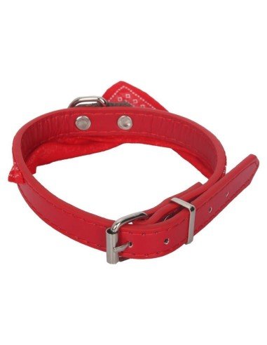 Collar con Pañoleta para Mascotas Grandes correa bandana perro