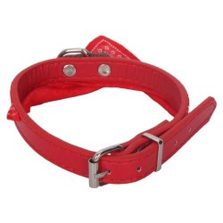 Collar con Pañoleta para Mascotas Grandes correa bandana perro