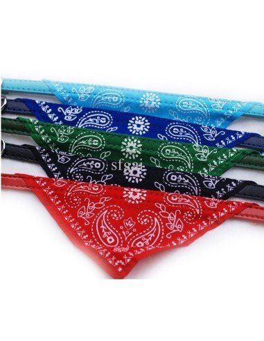 Collar con Pañoleta para Mascotas Grandes correa bandana perro