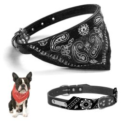 Collar con Pañoleta para Mascotas Medianas correa bandana perro