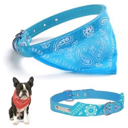 Collar con Pañoleta para Mascotas Medianas correa bandana perro