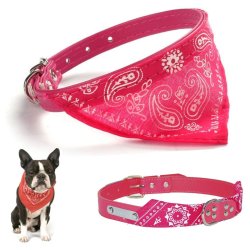 Collar con Pañoleta para Mascotas Medianas correa bandana perro