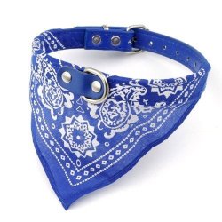 Collar con Pañoleta para Mascotas Medianas correa bandana perro