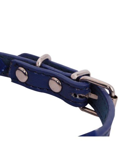 Collar con Pañoleta para Mascotas Medianas correa bandana perro