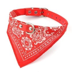 Collar con Pañoleta para Mascotas Medianas correa bandana perro