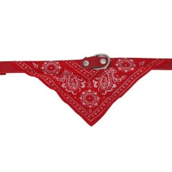 Collar con Pañoleta para Mascotas Medianas correa bandana perro