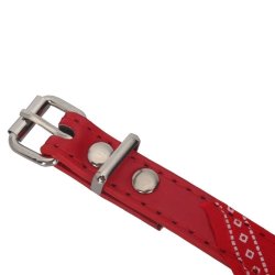 Collar con Pañoleta para Mascotas Medianas correa bandana perro