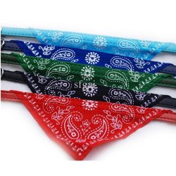 Collar con Pañoleta para Mascotas Medianas correa bandana perro