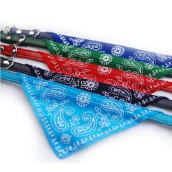 Collar con Pañoleta para Mascotas Medianas correa bandana perro