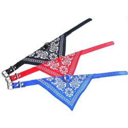 Collar con Pañoleta para Mascotas Medianas correa bandana perro