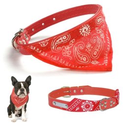 Collar con Pañoleta para Mascotas Medianas correa bandana perro