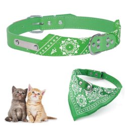 Collar con Pañoleta para Mascotas Pequeñas correa bandana perro o gato