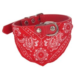 Collar con Pañoleta para Mascotas Pequeñas correa bandana perro o gato