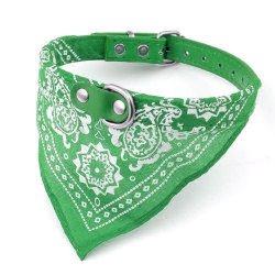 Collar con Pañoleta para Mascotas Pequeñas correa bandana perro o gato