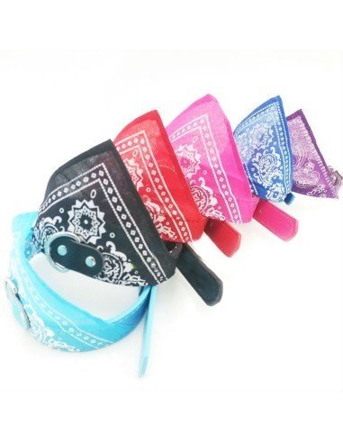 Collar con Pañoleta para Mascotas Pequeñas correa bandana perro o gato