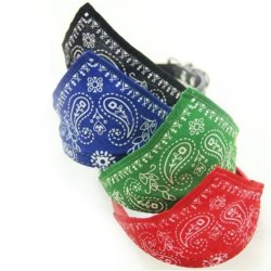 Collar con Pañoleta para Mascotas Pequeñas correa bandana perro o gato
