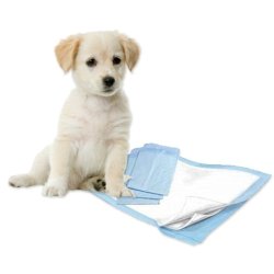 Tapetes Desechables super absorbente baño para mascotas (paq x 6u)