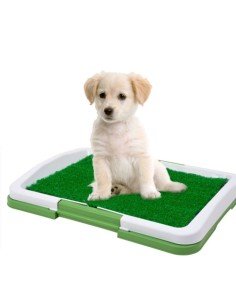 Tapete de Entrenamiento Puppy Potty baño Pasto Pequeño 2