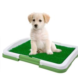 Tapete de Entrenamiento Puppy Potty baño Pasto Pequeño