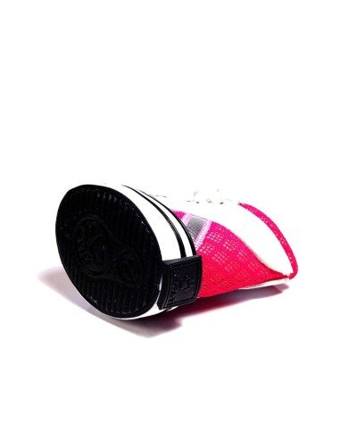Zapatos Tenis Kpets tipo Deportivo en Malla para Perro