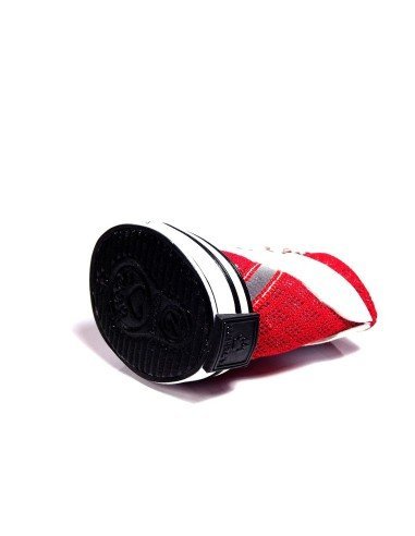 Zapatos Tenis Kpets tipo Deportivo en Malla para Perro