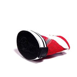 Zapatos Tenis Kpets tipo Deportivo en Malla para Perro