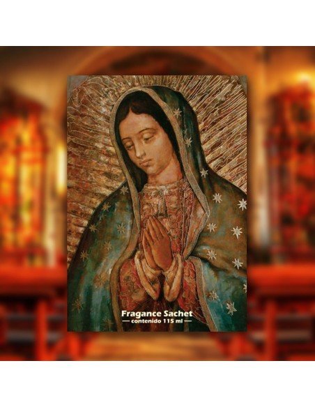 Kit x 6 Ambientadores Secos en Sachets sobres de mineral 