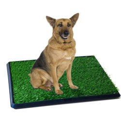 Tapete de Entrenamiento Puppy Potty baño Pasto Grande