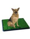 Tapete de Entrenamiento Puppy Potty baño Pasto Grande