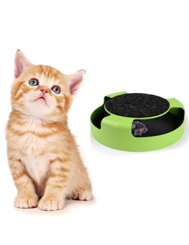 Juguete De Entretención Para Gatos divertido y entretenedor