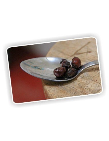 Hormigas Culonas Santandereanas Tostadas 85 gramos