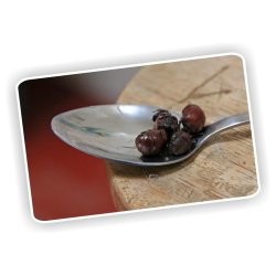 Hormigas Culonas Santandereanas Tostadas 1 Kilo