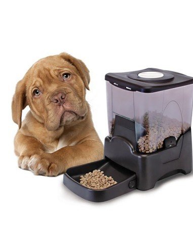 Dispensador Automático y programable de alimentos para mascotas