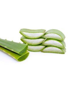 ZABIALOE. Extracto Natural de Sábila Natural con extractos 2