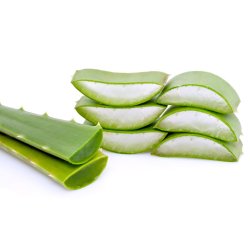 ZABIALOE. Extracto Natural de Sábila Natural con extractos