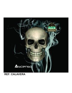 Buff Multifuncional Ascenso Calavera Skull 2