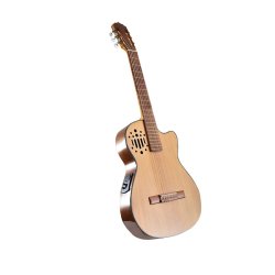 Guitarra Electro-Acústica dos Bandas