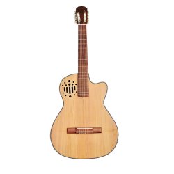 Guitarra Electro-Acústica dos Bandas