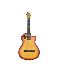 Guitarra Electro-Acústica dos Bandas